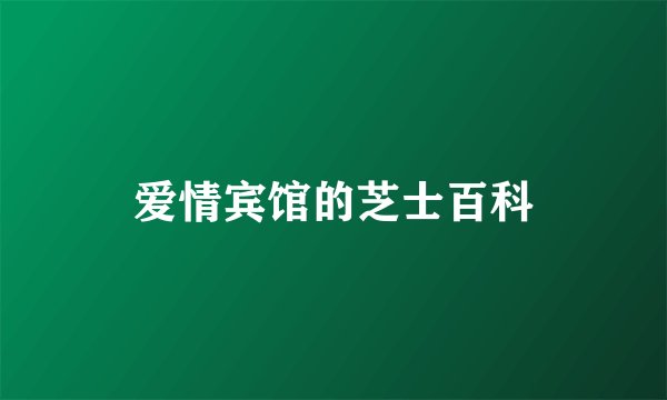 爱情宾馆的芝士百科
