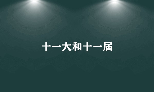 十一大和十一届