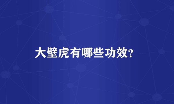 大壁虎有哪些功效？