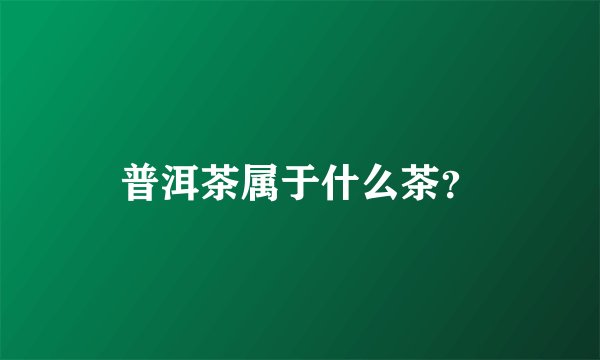 普洱茶属于什么茶？