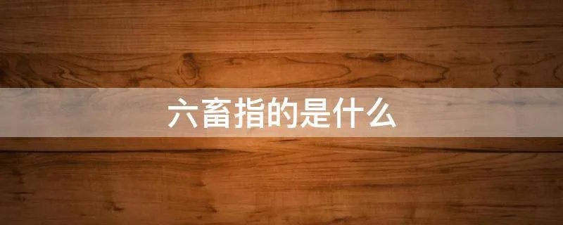六畜指的是什么