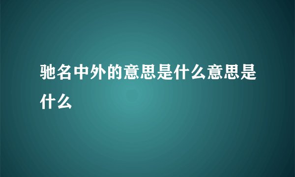 驰名中外的意思是什么意思是什么