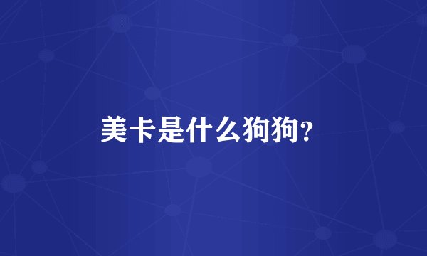 美卡是什么狗狗？