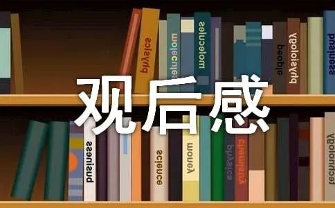 人间真情观后感