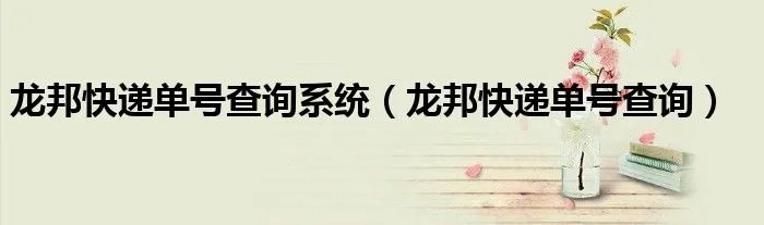 龙邦快递单号查询系统（龙邦快递单号查询）