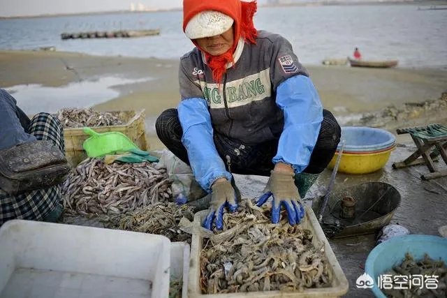 国庆休息这么多天,您会怎么过?