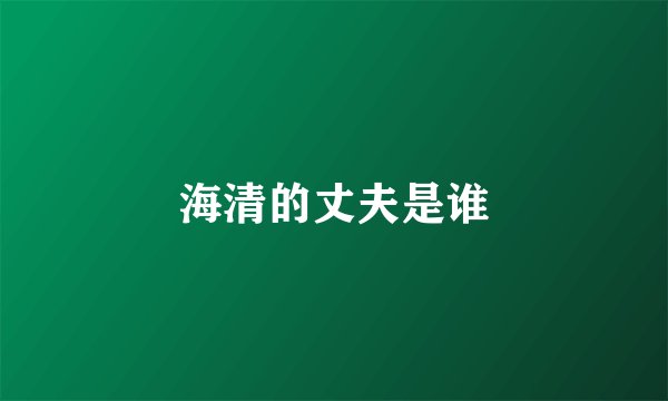 海清的丈夫是谁