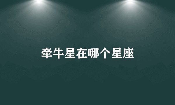 牵牛星在哪个星座