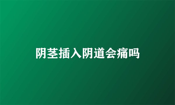 阴茎插入阴道会痛吗