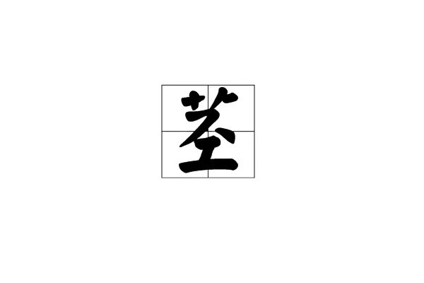 茎的组词和部首