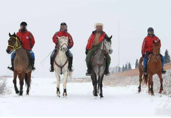 雪天骑马撞人逃逸,我国交通法允许在公路上骑马吗?