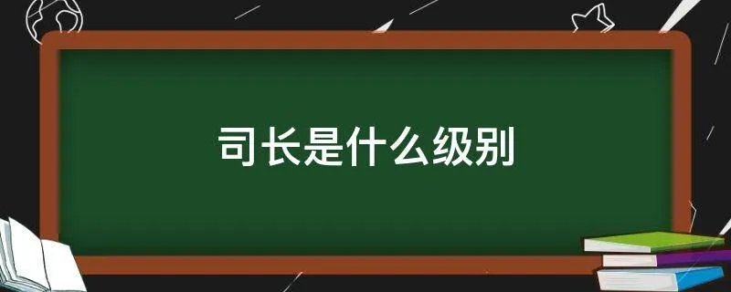 司长是什么级别