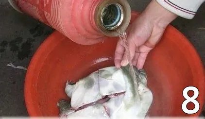 杀甲鱼(王八)正确杀法怎么杀,甲鱼怎么吃?