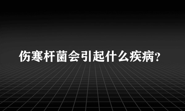 伤寒杆菌会引起什么疾病？