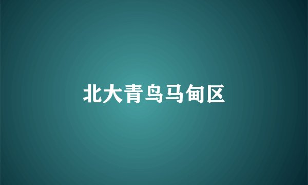 北大青鸟马甸区