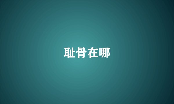 耻骨在哪