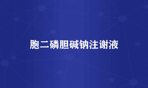 胞二磷胆碱钠注谢液