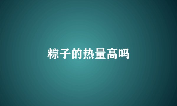 粽子的热量高吗