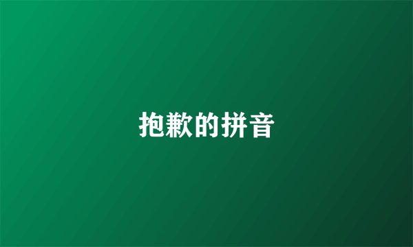 抱歉的拼音