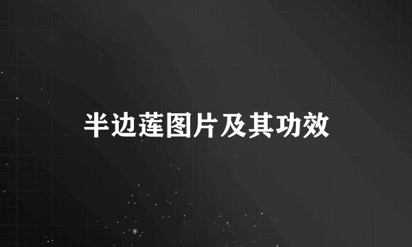 半边莲图片及其功效