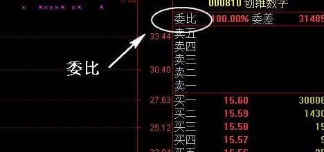 委比是什么意思?