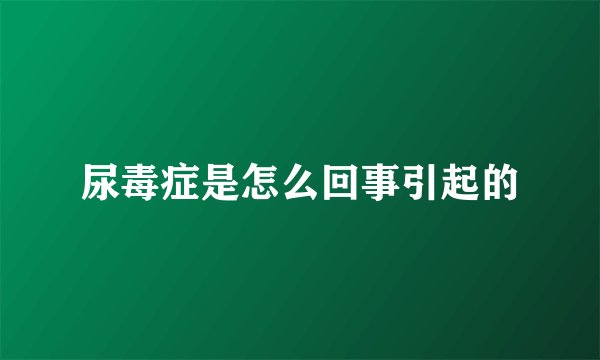 尿毒症是怎么回事引起的