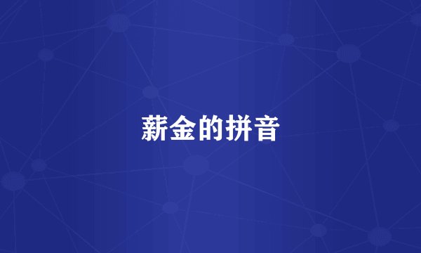 薪金的拼音