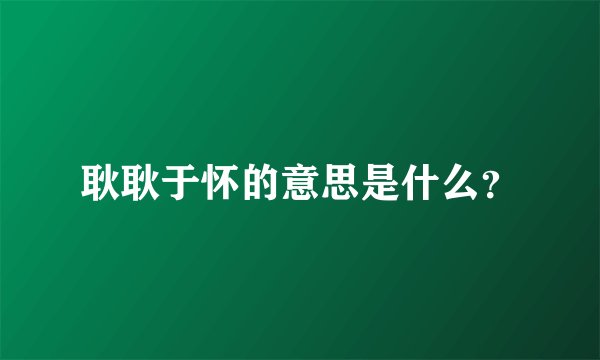耿耿于怀的意思是什么？
