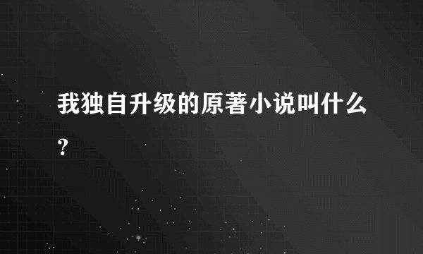 我独自升级的原著小说叫什么？