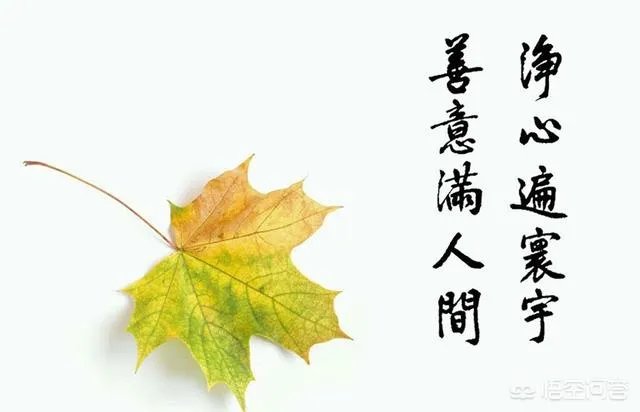 宽容是什么?