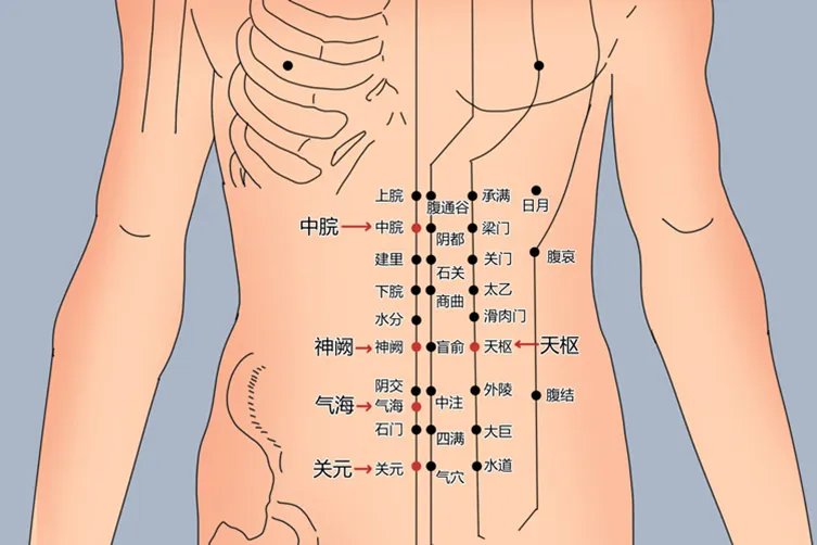 怎么样减肥好