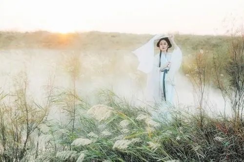 蒹葭苍苍白露为霜所谓伊人在水一方这句词代表的什么意思