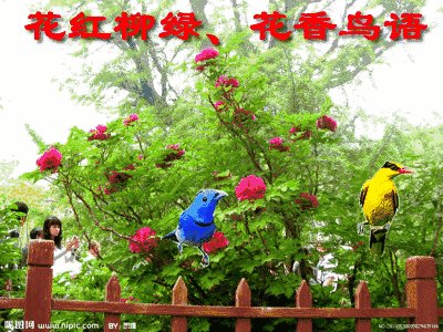 找不到工作怎么办?
