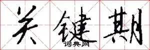关键期