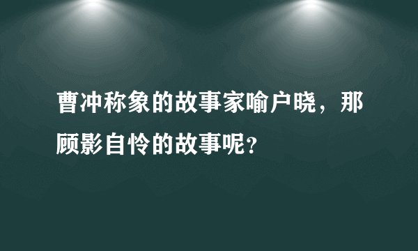 曹冲称象的故事家喻户晓，那顾影自怜的故事呢？