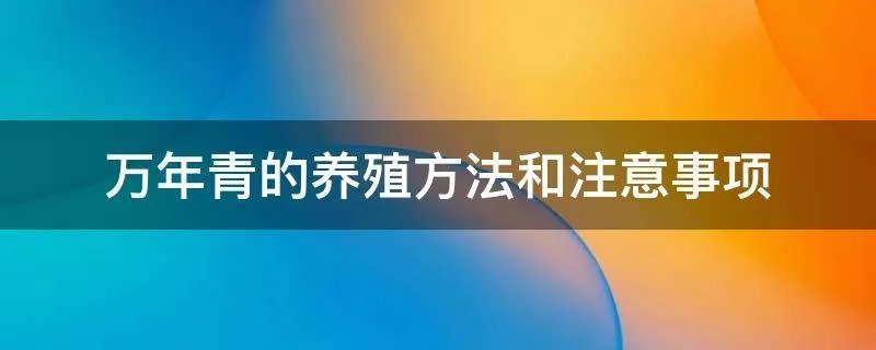 万年青的养殖方法和注意事项