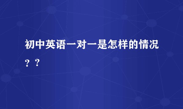 初中英语一对一是怎样的情况？?