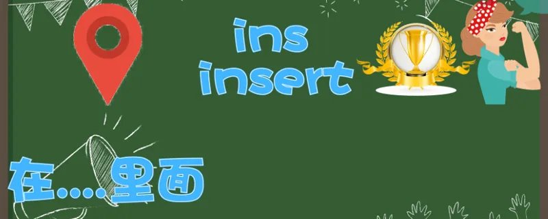 ins什么意思