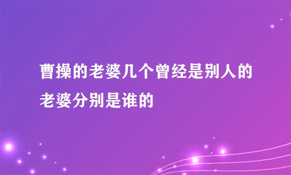 曹操的老婆几个曾经是别人的老婆分别是谁的