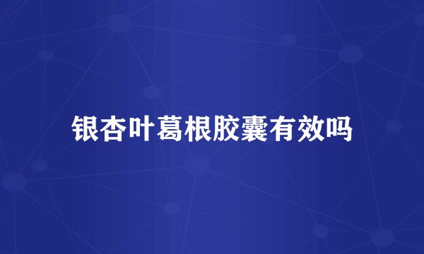 银杏叶葛根胶囊有效吗