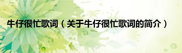 牛仔很忙歌词（关于牛仔很忙歌词的简介）