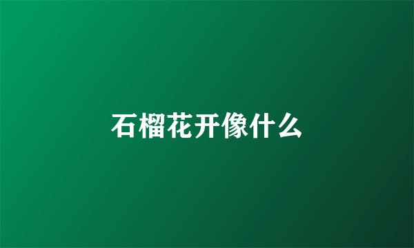 石榴花开像什么