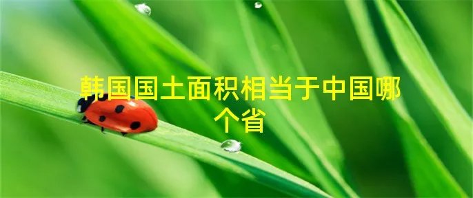 韩国国土面积相当于中国哪个省