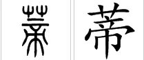 蒂