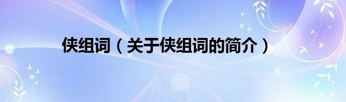 侠组词（关于侠组词的简介）