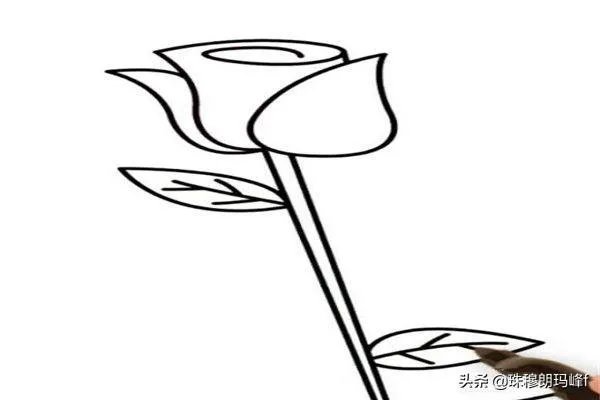 玫瑰花简笔画怎么画?