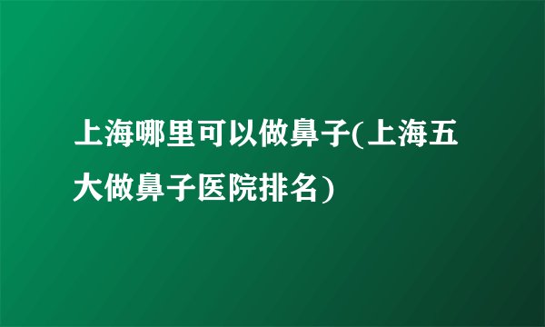 上海哪里可以做鼻子(上海五大做鼻子医院排名)