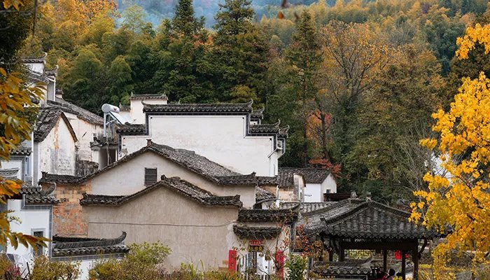 皖是哪个省的简称 皖是哪里的简称