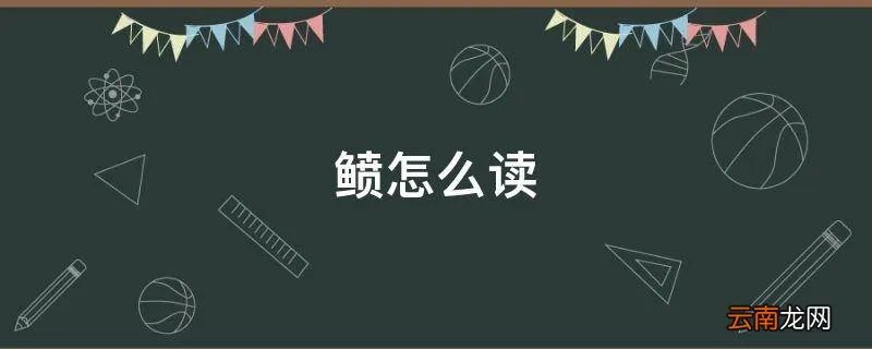 鲼怎么读