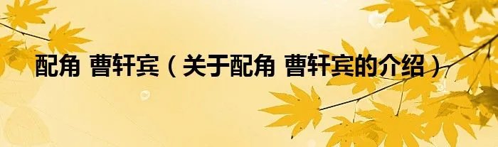 配角 曹轩宾（关于配角 曹轩宾的介绍）